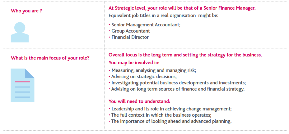 strategic case study role guidance